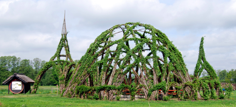 Illustration for article titled Behold These Incredible Works Of Architecture Made Out Of Living Trees